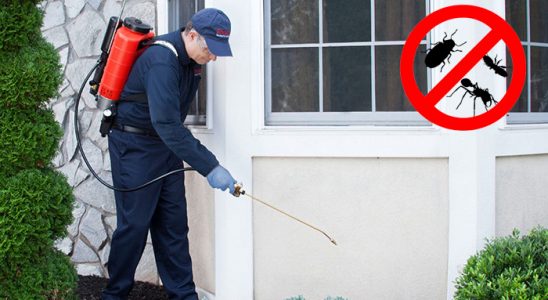 Akıncılar Dezenfeksiyon böcek ilaçlama ve haşere kontrolü — ilaclama-tr.com
